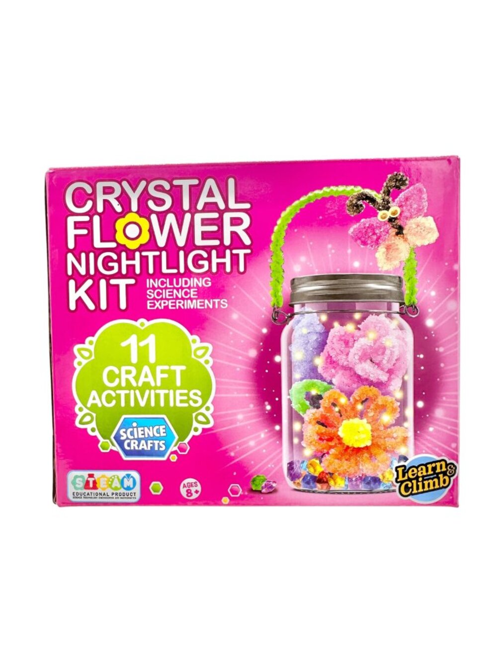 Crystal Flower Nightlight Kit With 11 Fun Kids Science Activities by Learn & Cli
